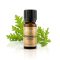 Citronella