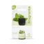 Fragrante Lemongrass Essential Oil