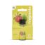 Fragrante guayaba illat