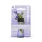Fragrante Lavender Essential Oil