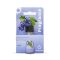 Fragrante Grape Fragrance