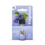 Fragrante Grape Fragrance