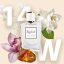 R Collection Women 14 - Inspired by TOM FORD - Black Orchid 50 ml