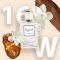 R Collection Women 16 - Inspired by YSL - Alien 50 ml