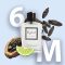 R Collection Man 6 - Inspired by PACO RABANNE - Bad Boy 50 ml